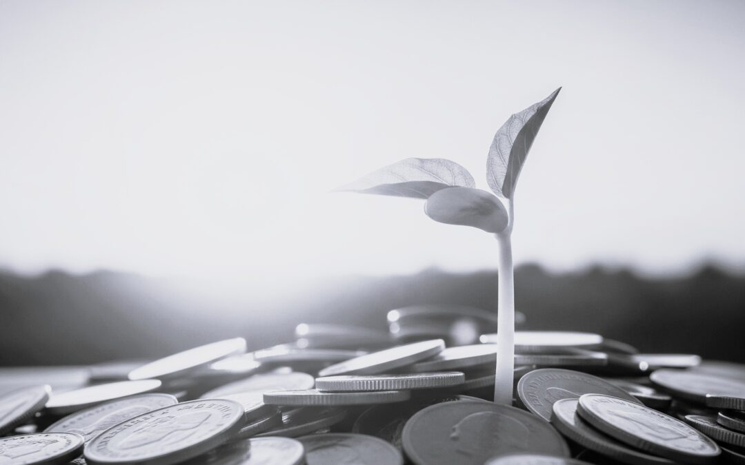 Pièces de monnaie empilées avec une pousse verte - DB France Invest, financement durable