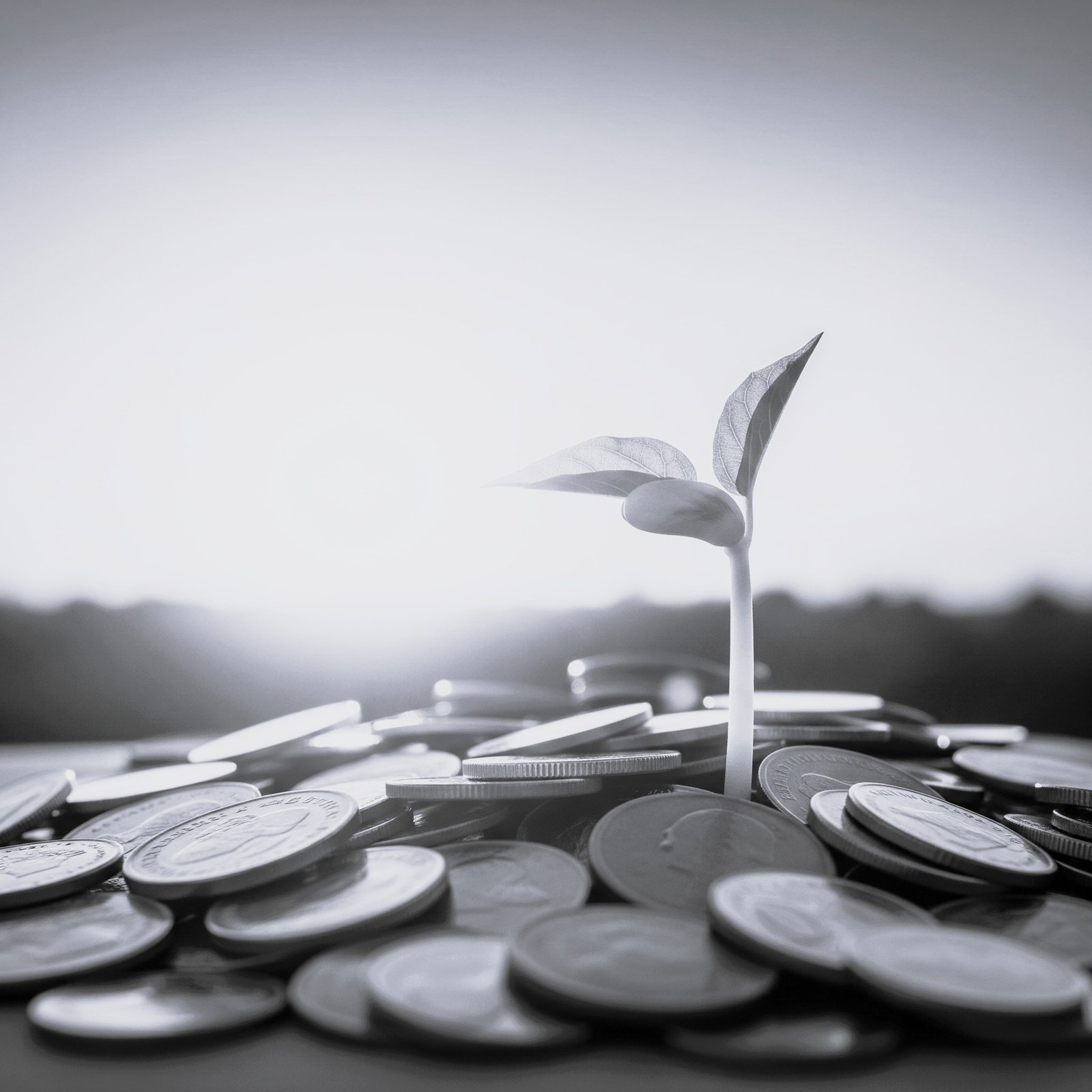 Financement PME : solutions crédit et garanties bancaires