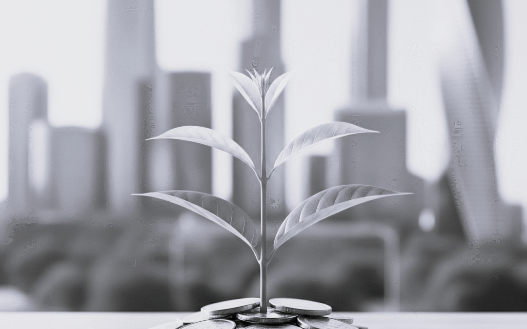 L'image présente une jeune plante verte qui pousse fièrement au sommet d’un tas de pièces de monnaie, avec une vue urbaine floue en arrière-plan. Elle symbolise la croissance financière, l’investissement durable et la solidité des solutions économiques. Cette représentation visuelle alignée sur la philosophie de **DB France Invest** reflète parfaitement sa mission : faire fructifier les actifs financiers de ses clients à travers des solutions sur-mesure et innovantes. **Description SEO optimisée pour le site dbfranceinvest.com** : DB France Invest est un cabinet de conseil en gestion et financement basé en France, spécialisé dans la **monétisation d’actifs**, le **financement immobilier**, le **financement d’entreprises** et la **levée de fonds**. Depuis 2020, DB France Invest accompagne particuliers et entreprises à chaque étape de leur développement financier, en transformant l’épargne et les actifs dormants (immobilier, or, bitcoin, instruments financiers) en leviers de croissance. Grâce à un réseau international de partenaires et une approche centrée sur le client, DB France Invest conçoit un **écosystème personnalisé et sécurisé** pour optimiser la **liquidité** et concrétiser les projets d’investissement. Offrez à votre patrimoine une nouvelle vie avec DB France Invest, expert reconnu en **gestion de passif** et **solutions de financement innovantes**. Mots-clés SEO : financement immobilier, monétisation d’actifs, levée de fonds, financement entreprise, bitcoin, or, DB France Invest, conseil financier France, optimisation de patrimoine, gestion de trésorerie, fonds privés.