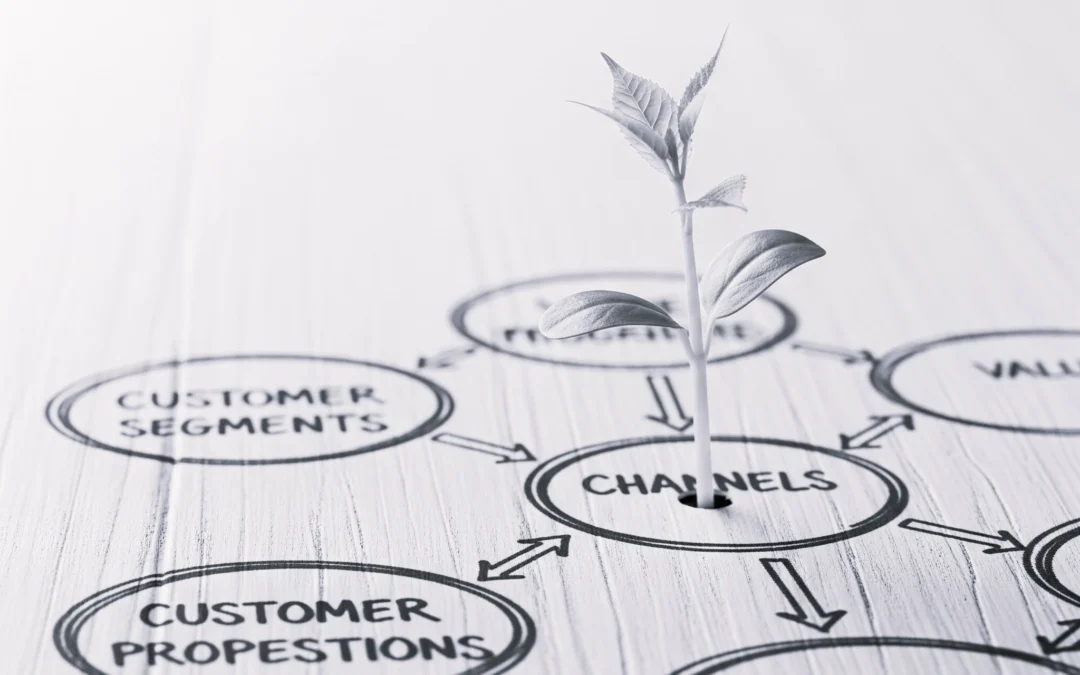 Startup et création de valeur : financement expert