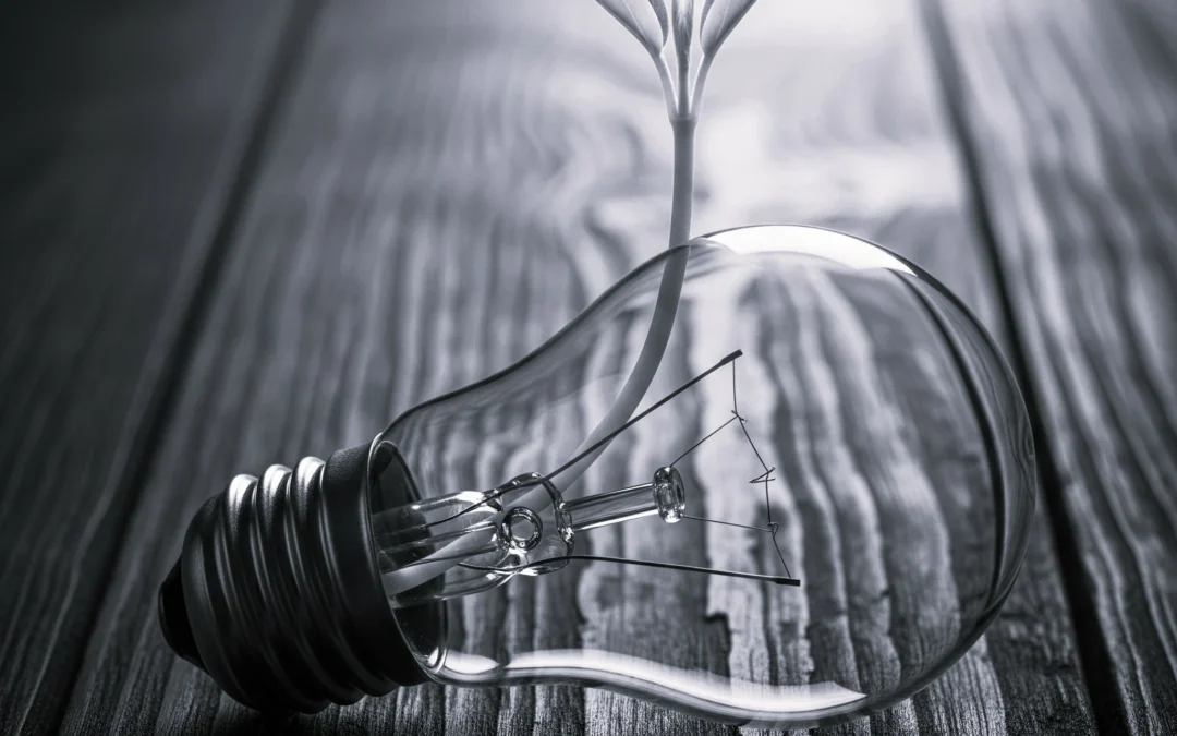 Immobilier nu Vs immobilier lombard