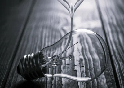 Immobilier nu Vs immobilier lombard