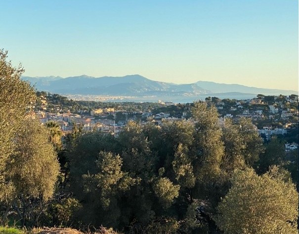 Vue panoramique mer et collines depuis le terrain de Vallauris