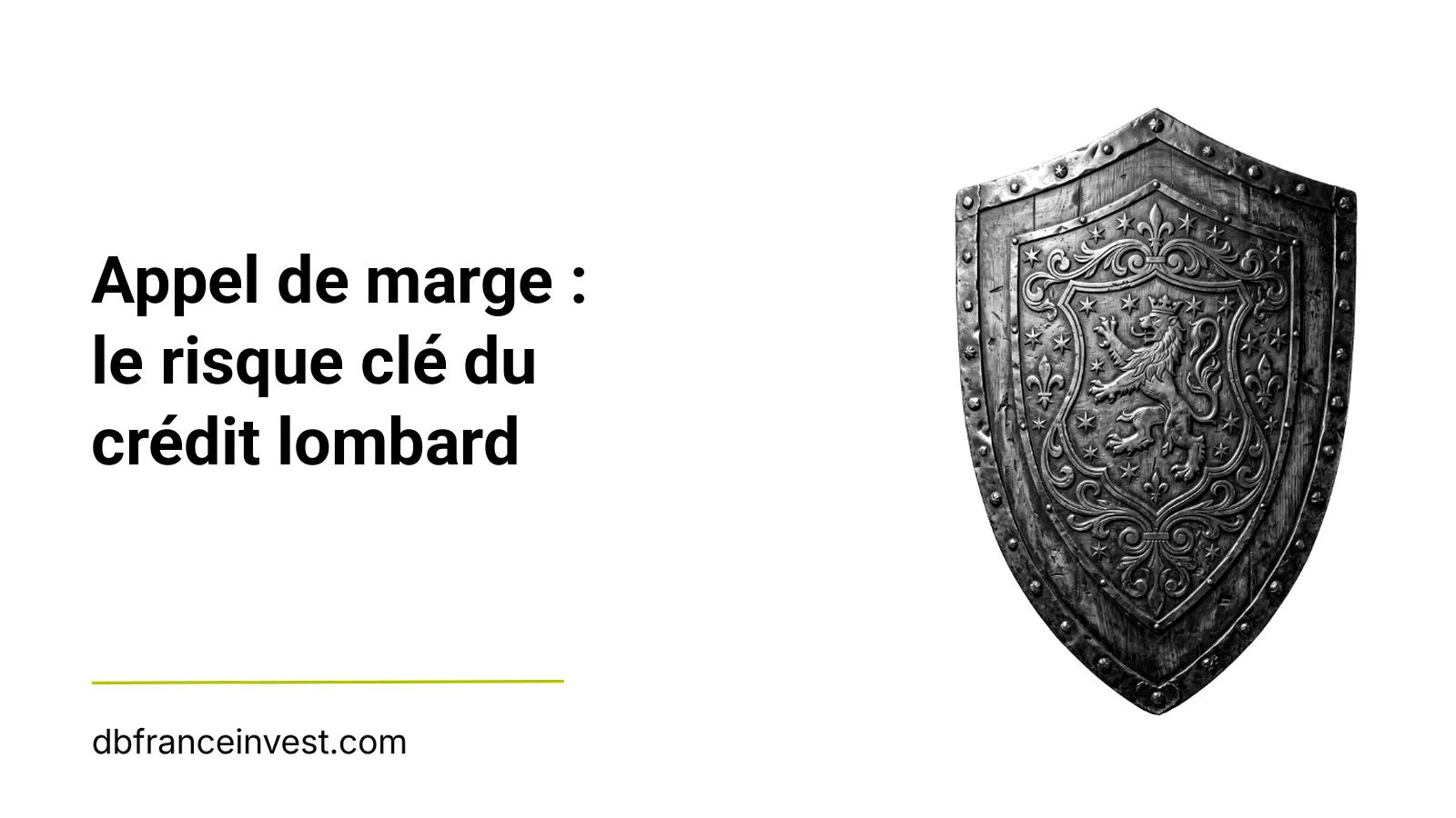 Bouclier orné d'un lion en noir et blanc, illustrant le risque d'appel de marge