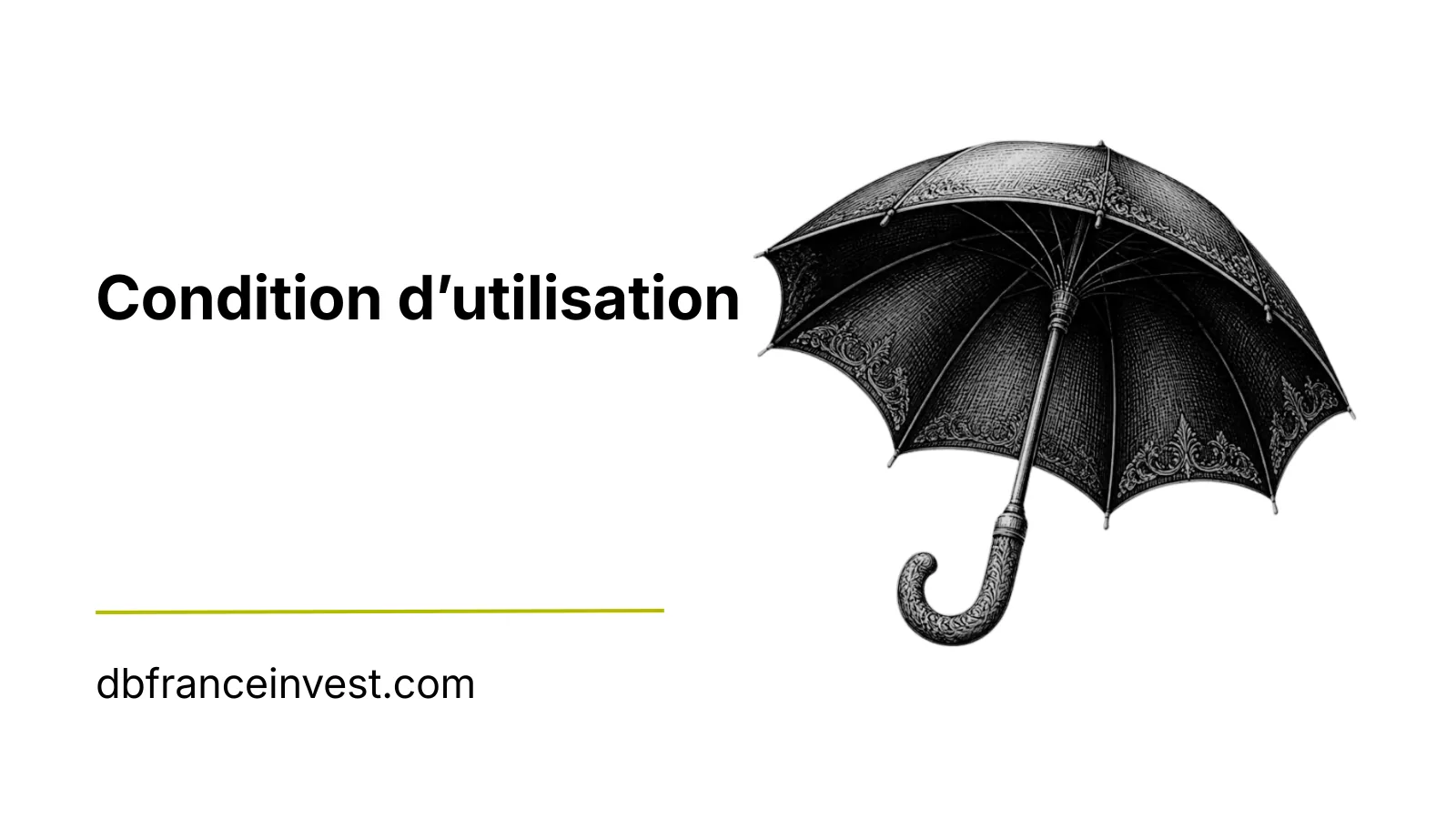 Illustration d'un parapluie noir ouvert, visuel des conditions d'utilisation du site DB France Invest