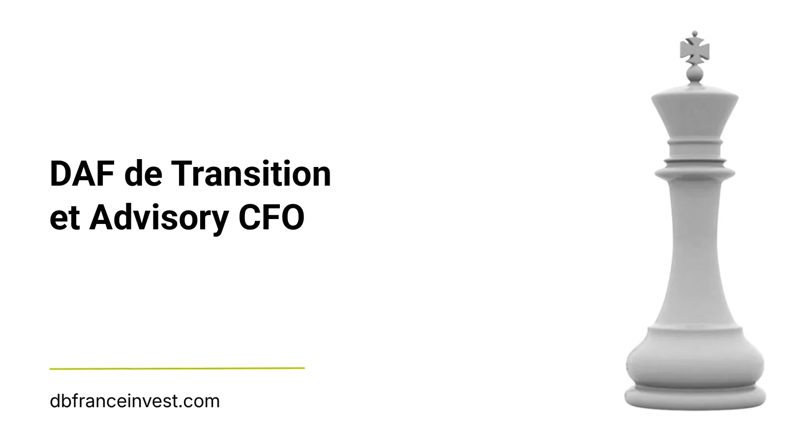 Roi d'échecs isolé en noir et blanc, illustrant DAF de Transition et Advisory CFO