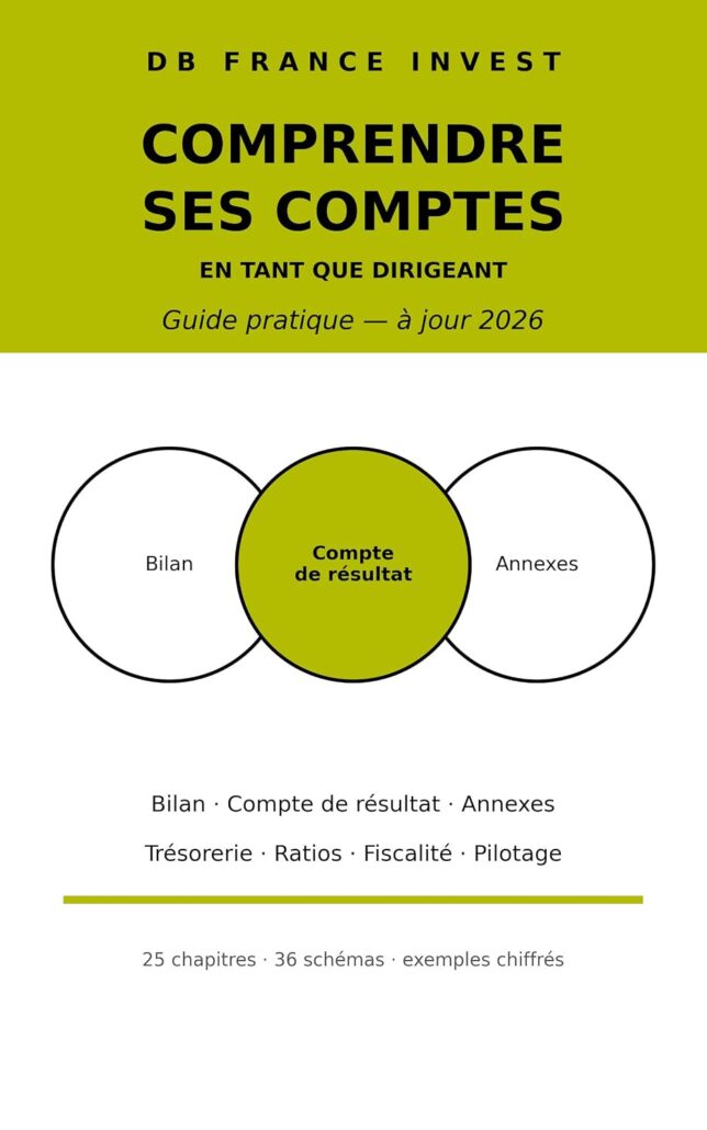 Couverture du livre « Comprendre ses comptes en tant que dirigeant » de Stéphane Delcloque