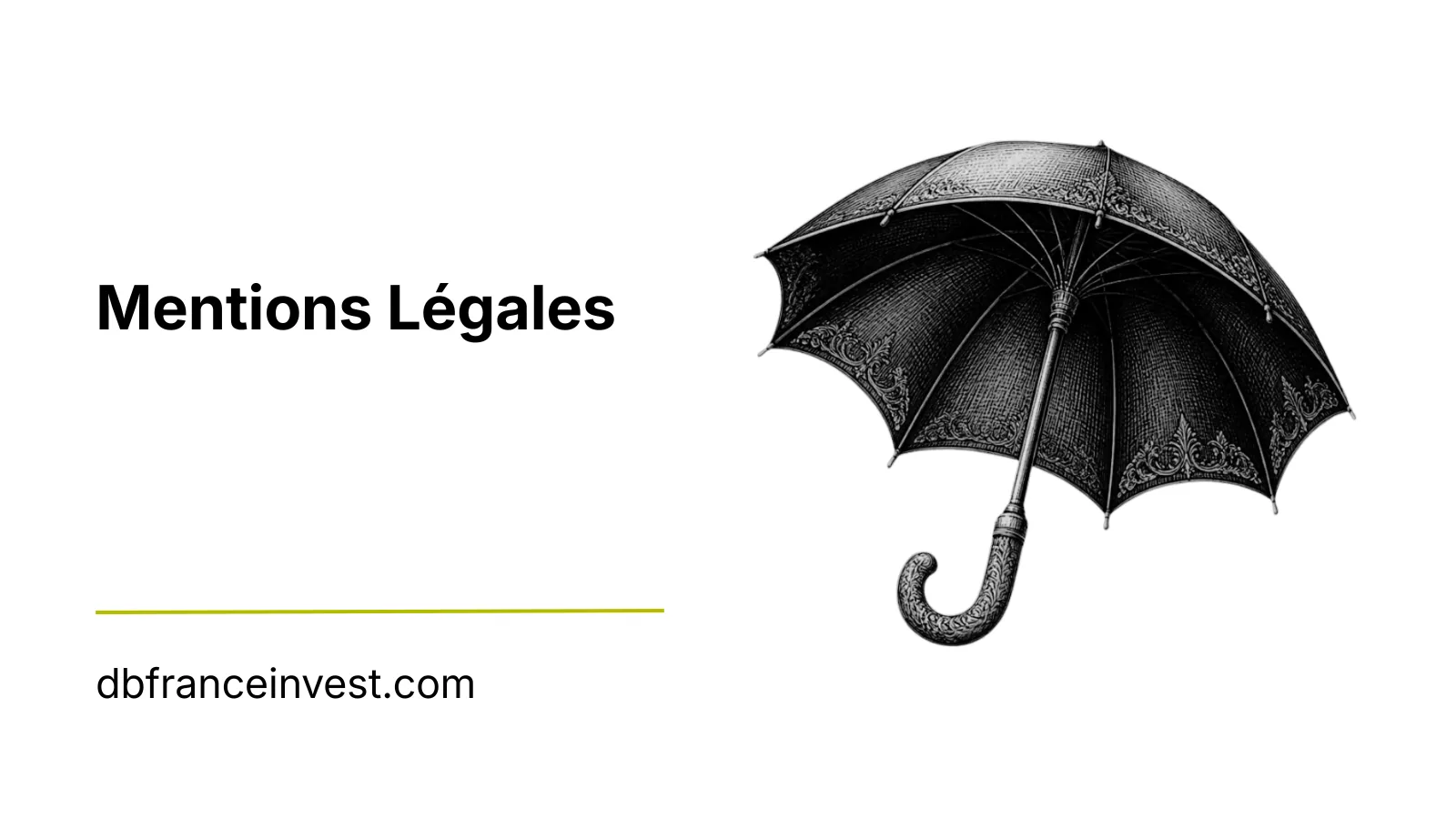Illustration d'un parapluie noir ouvert, visuel des mentions légales de DB France Invest