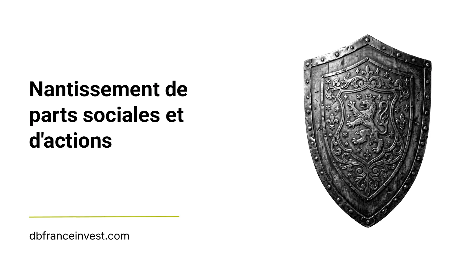 Bouclier médiéval en acier orné d'un lion héraldique, image des titres de société protégés par une sûreté
