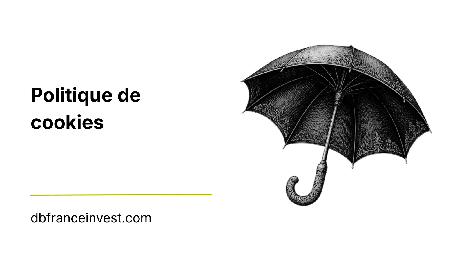 Illustration d'un parapluie noir ouvert, visuel de la politique de cookies de DB France Invest