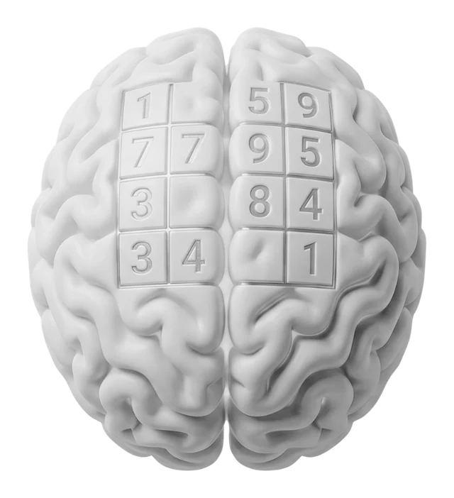 Cerveau et chiffres, illustrant les simulateurs pour chiffrer et décider votre projet